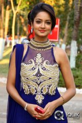 Rowdy Movie Audio Launch